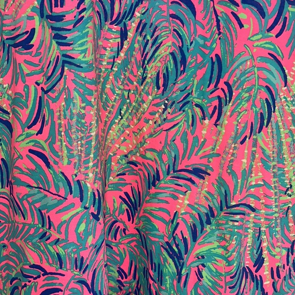 Lilly Pulitzer Dress - Picture 2 of 3